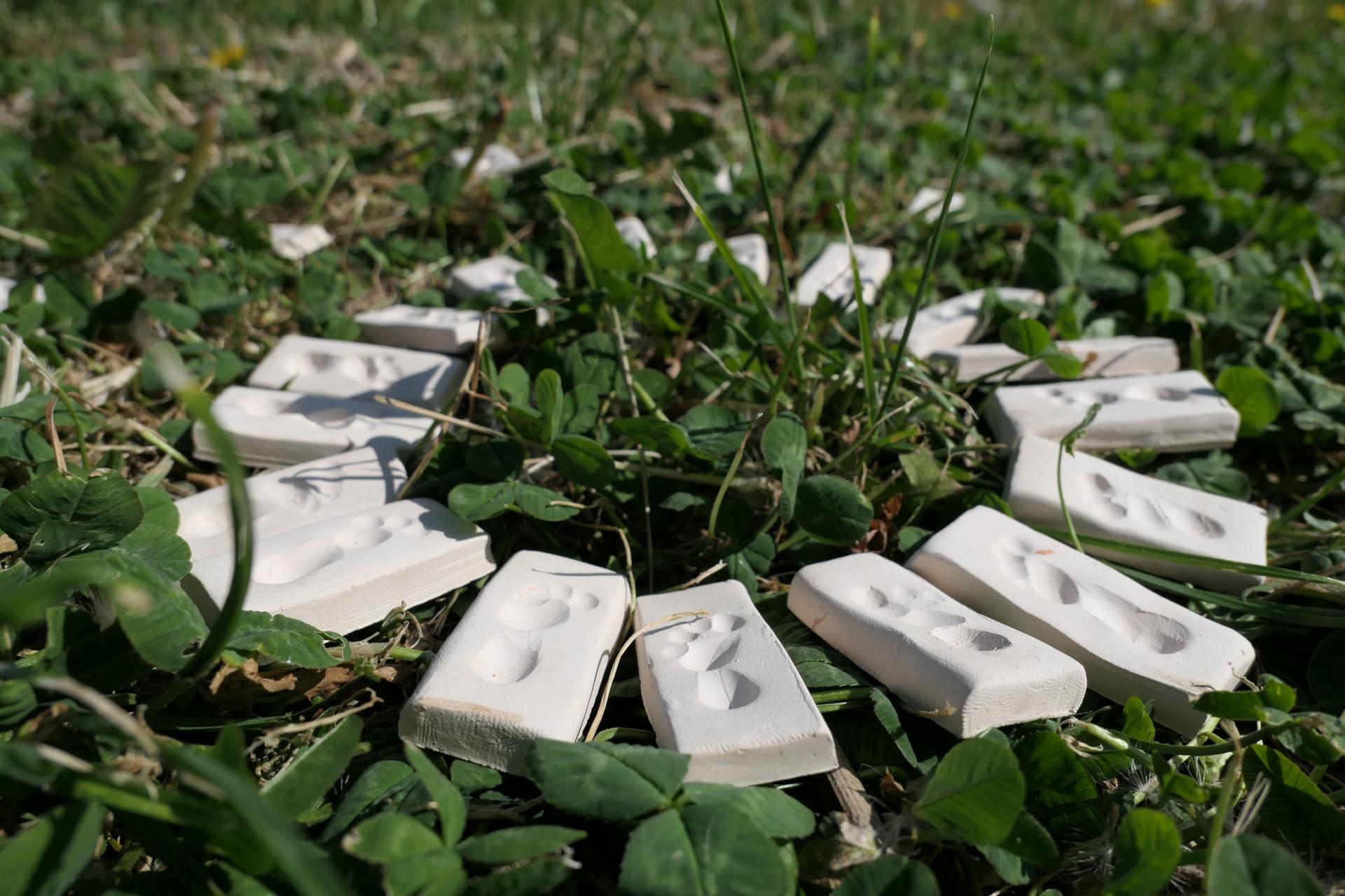 Tegels met voetafdrukken in een cirkel tussen het gras