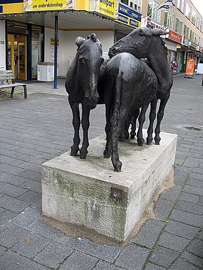 Drie ezels
